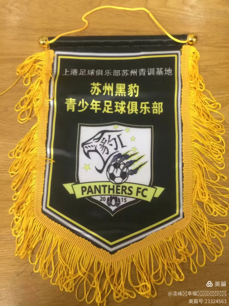 开云在线赛事平台-球队签约新人，展望未来开辟新篇章